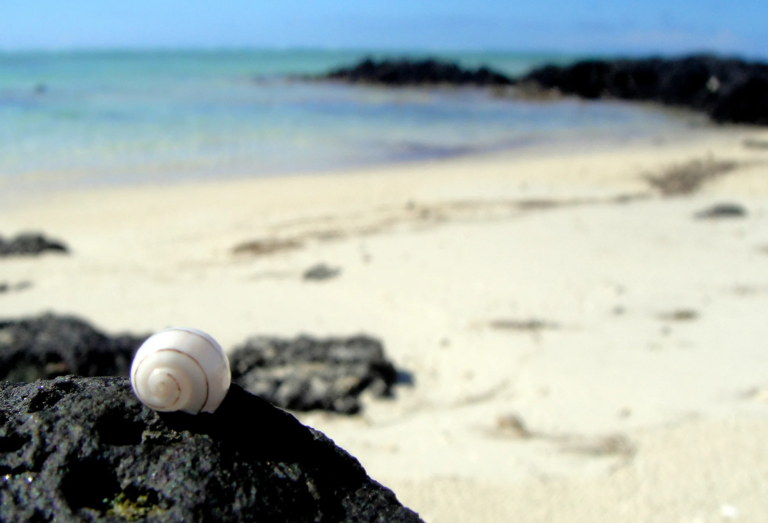 Projet Cartes postales